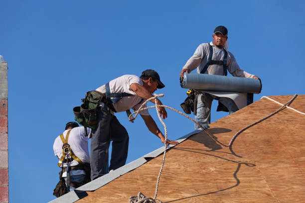 Roof Gutter Cleaning in South Cleveland, TN